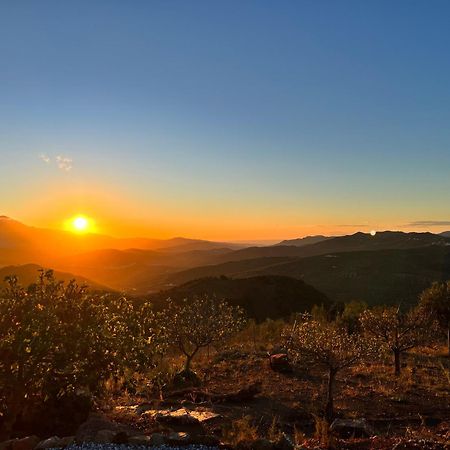 Vila Casa Pura Vida - Malaga - Andalusie Colmenar Exteriér fotografie